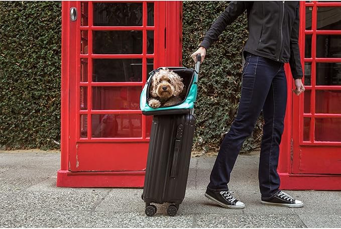 Sleepypod Air - Airline Approved Carrier for Cats and Dogs (Charcoal Grey)