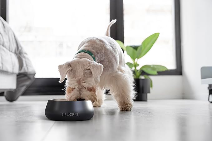 Sipworks Stainless Steel Dog Bowl – 32oz Weighted Metal Food and Water Bowls for Dogs and Cats with Non-Slip Base - Pet Bowls for All Breeds Sizes for Travel & Outdoor Play | Lavender Gray