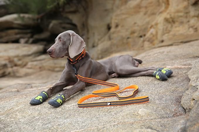 TRUE LOVE Reflective Dog Leash Puppy Walking Lead, Padded Pet Chain Rope，Length 110cm Truelove TLL2111(Orange,M)