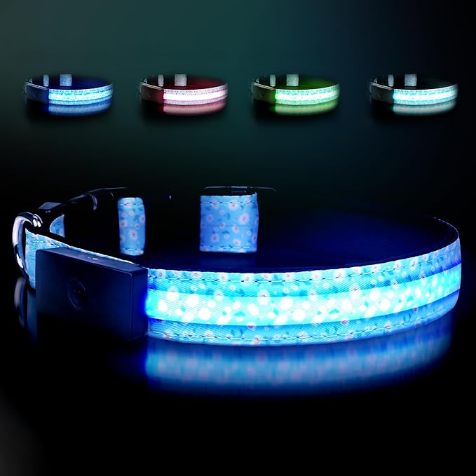 LED Dog Collar - Brightest Light Up Dog Collars - 1,600 Feet of High Visibility - Magnetic Charging - Dog Lights for Night Walking, Daisy Extra Large