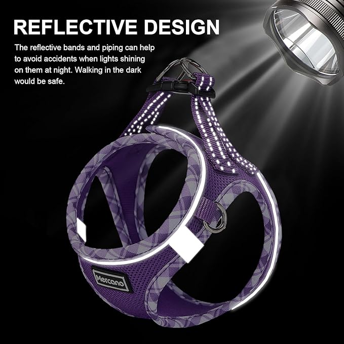 Mercano Soft Mesh Dog Harness and Leash Set, No-Chock Step-in Reflective Breathable Lightweight Easy Walk Vest Harnesses with Safety Buckle for Small Dogs, Cats (S, Purple)
