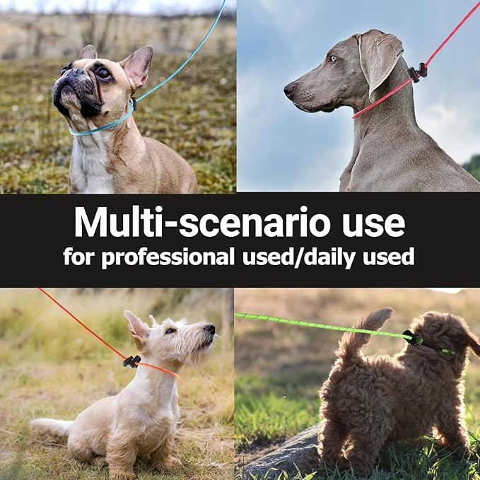 Reflective Slip Lead Leashes Puppy Training Lead – 4.3mm Paracord Rope with 12-Core Strength, 1000lb Pull Force Set of 2 for Small & Medium Dogs (Pink & Light Gray, 4 FT)