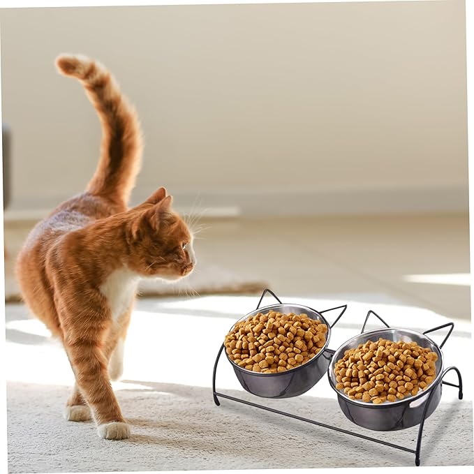 Hotainoys Elevated Cat Bowls 2 Stainless Steel Cat Bowls with Stand, Raised Bowl for Food ＆ Water Non Slip Tilted Food for Cats and Dogs Anti Vomit Elevated Bowl