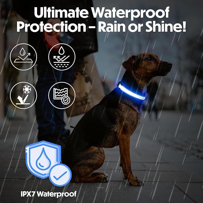Light Up Dog Collar – Reflective, Adjustable & Rechargeable Electronic Glow Pet Collars – Bright, Comfortable, High Visibility LED Dog Collar for Night Safety, Outdoor Walk & Flashing Fun, Blue, Large