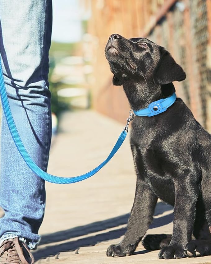 Erbine 6FT Reflective Nylon Dog Leash with Soft Padded Handle for Walking, Running and Training, Supports Small Medium and Large Dogs (Auqa Blue, 1 Inch Wide)