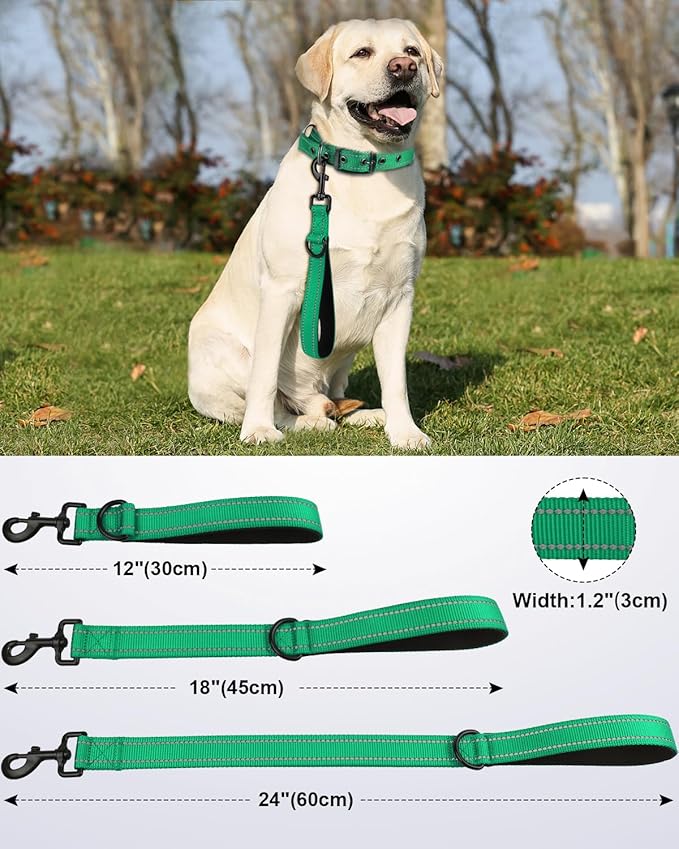 Joytale Strong Short Dog Leash 18 Inch, 1.2 Inch Wide, Heavy Duty, Padded Handle for Traffic Control, Reflective Leash for Medium and Large Dogs Walking Training, Teal