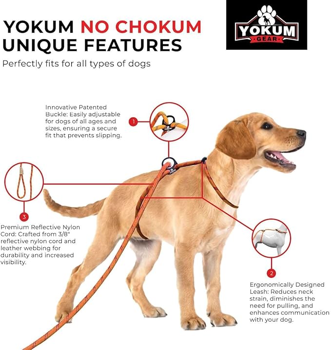 30ft Check Cord to Train Dog, Anti Pulling, Dog Leads for Walking, Double Hook & Escape Proof for All Breeds, Reflective Orange
