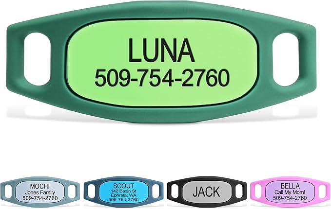 GoTags Silent Dog Tag, Personalized Engraved Silicone and Cat Name Pet ID Tags, Soundless Quiet Slide On Nameplate for Collars, No More Jingling Tags (Green, Small)