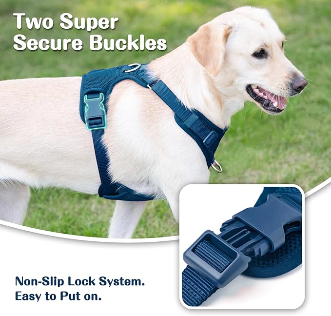 No Pull Dog Harness for Small Medium Large Dogs - Adjustable 2 Layer Mesh Dog Vest with Dual Clip, Escape Proof, Quick Release, Lightweight Breathable Mesh for Walking Hiking (Prussian Blue,XS)