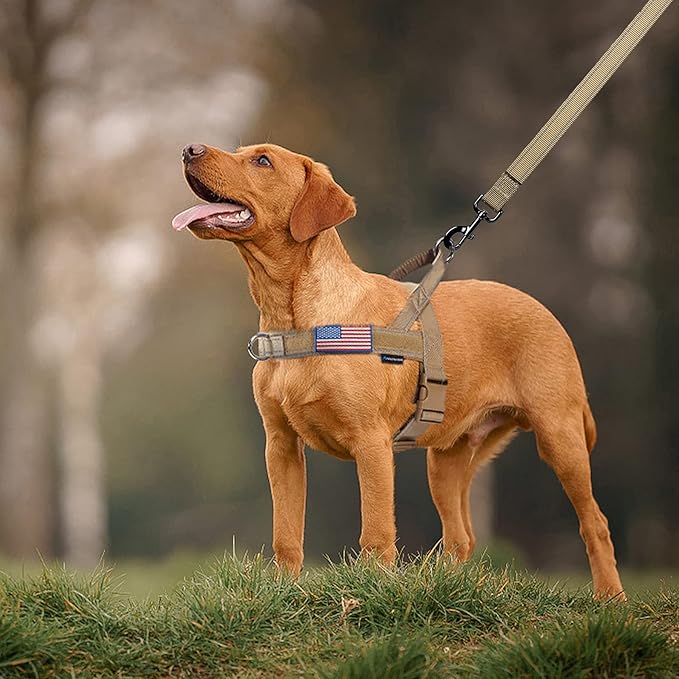 Annchwool No Pull Dog Harness with Soft Padded Handle,Reflective Strip Escape Proof and Quick Fit to Adjust Dog Harness,Easy for Training Walking for Small & Medium and Large Dogs(Brown,M)