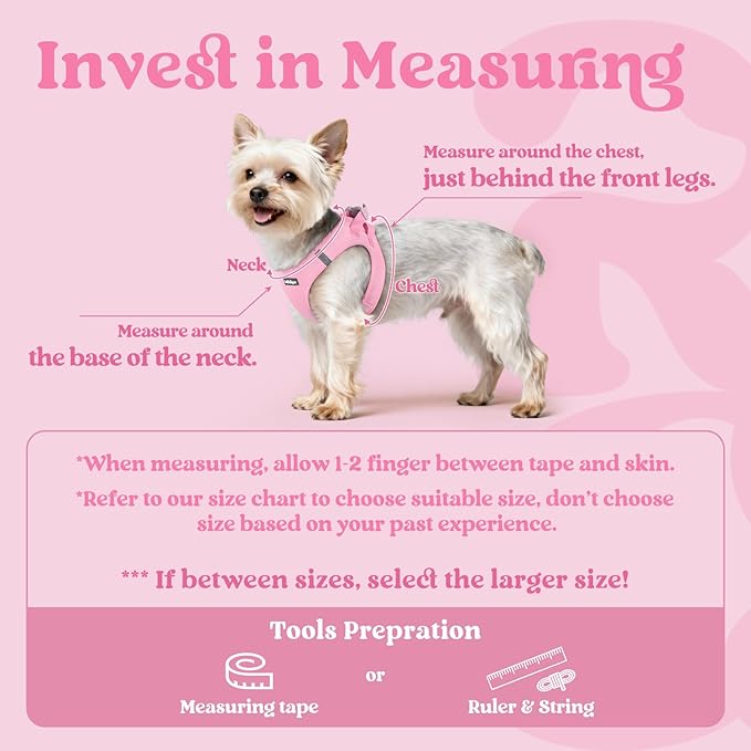 rabbitgoo Small Dog Harness, Step-in Soft Mesh Puppy Vest with Safety Buckle, Breathable Reflective Pet Harness for Small Sized Dogs, Light Pink XS