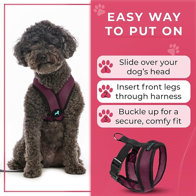 Gooby Comfort X Head in Harness - Purple, Small - No Pull Dog Harness with Patented Choke-Free X Frame for Small to Medium Dogs Indoor/Outdoor Use