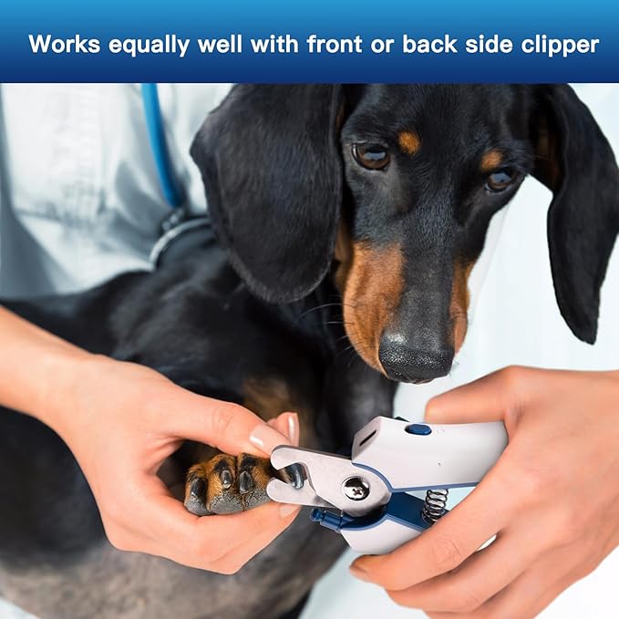 Type-C Rechargeable Dog & Cat Nail Clippers - LED Pet Nail Trimmer Extra Sharp for Small & Medium Dogs (Blue)
