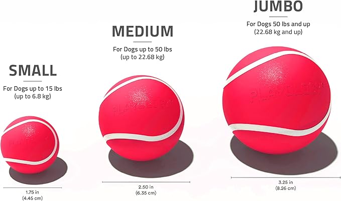 Playology Dog Toys | Squeaky Chew Ball - Bouncy Durable Floating Fetch Ball for Dogs | Jumbo Grandma's Gravy Scented Toy - Easy to Clean and Made from Non Toxic Materials