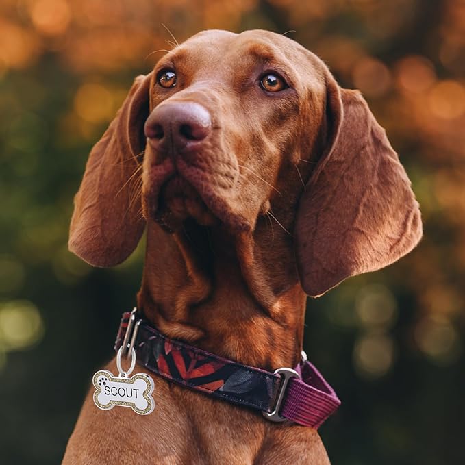 Personalized Dog Tags - Stainless Steel Deep Engraved Glitter Bone Shape Pet ID Tag, Double Sided Custom Text, Lightweight Durable Cat Dog Name Tag (Gold, L)
