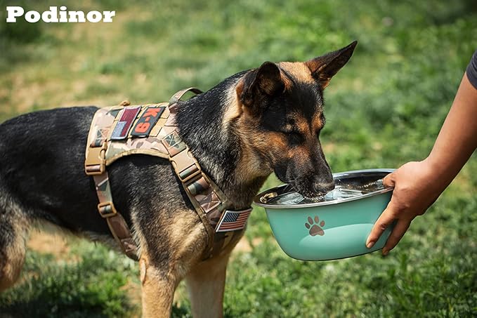 Podinor Large Dog Water Bowl 2 Pack, 1 Gallon 128oz Stainless Steel Extra Large Dog Food Bowl for Big Giant Dogs, Black
