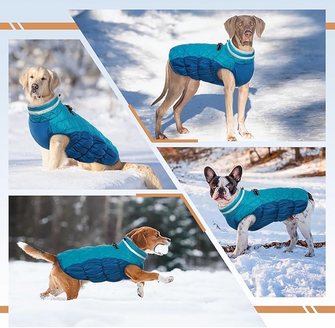Dog Jackets for Medium Dogs,Medium Dog Coat,Warm Pet Winter Coat Zip Up Back,Waterproof Dogs Jacket with D-Ring,Pet Cold Weather Coats with Fleece Lined, Snowsuit Pug Boston Terrier,M