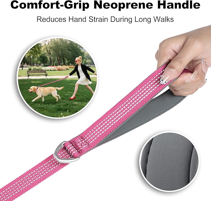 Plutus Pet Heavy Duty Dog Leash with Lockable Aluminum Carabiner, 4/6 Feet Long, Double-Sided Reflective Nylon, Padded Handle, for Puppy, Small, Medium and Large Dogs (Pink, 4/5" x 4')
