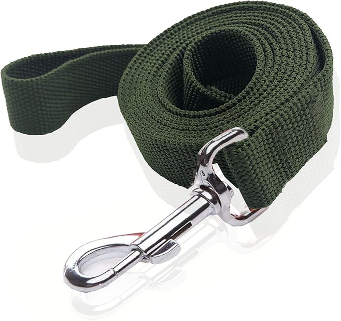 Nylon Dog Leash 16 Feet Long, Walking Training Dog Leashes for Medium Large Dogs(1" X 16 ft, Green)