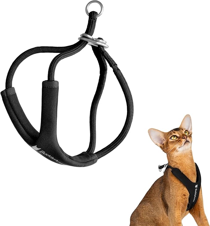 Escape Proof Y Shape Cat Harness Anti-Choke Buckle Adjustable Comfortable Padded Cat Vest Harness Anti Escape Cat Rope Harness for Kitten Small Medium Large Cats (Black, M)