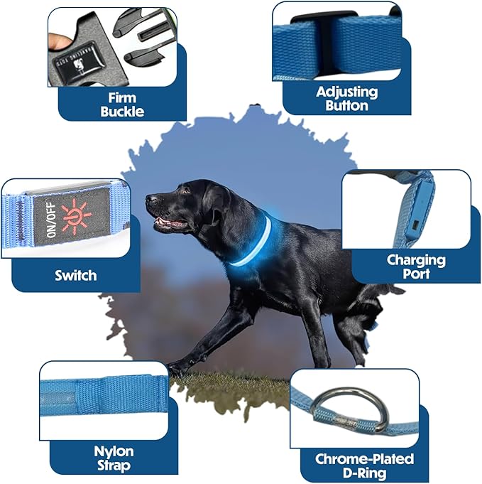Light Up Dog Collar – Reflective, Adjustable & Rechargeable Electronic Glow Pet Collars – Bright, Comfortable, High Visibility LED Dog Collar for Night Safety, Outdoor Walk & Flashing Fun, Blue, Large