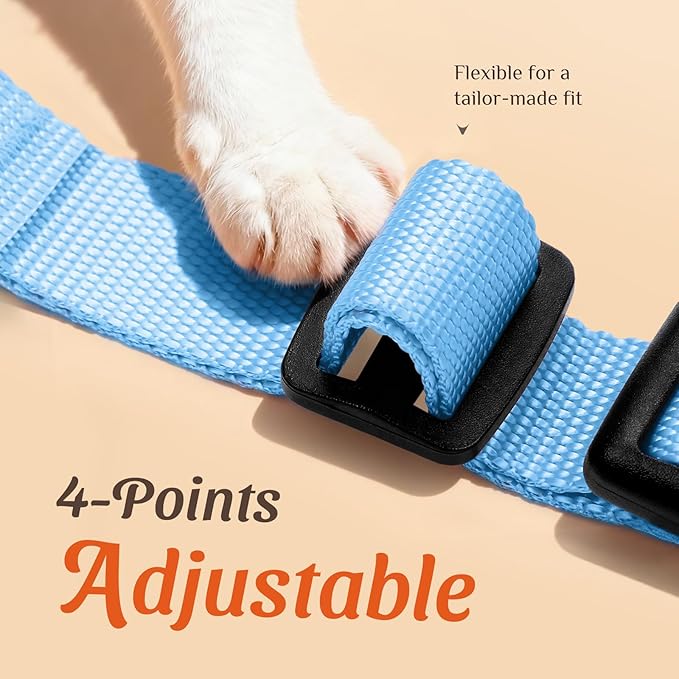 Dooradar Cat Harness and Leash Set, Escape Proof Safe Adjustable Kitten Vest Harnesses for Walking, Easy Control Soft Breathable Mesh Jacket with Reflective Strips for Cats,Light Blue, XS