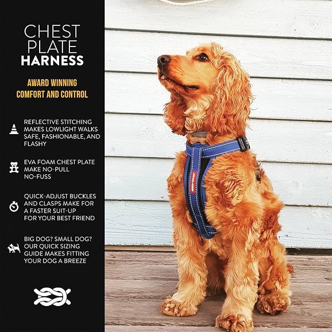 EzyDog Chest Plate No Pull Dog Harness – Escape Proof Harness with Reflective Stitching and Comfort Padding for Easy Walks, Training & Control - Car Restraint Included (Small, Gray)