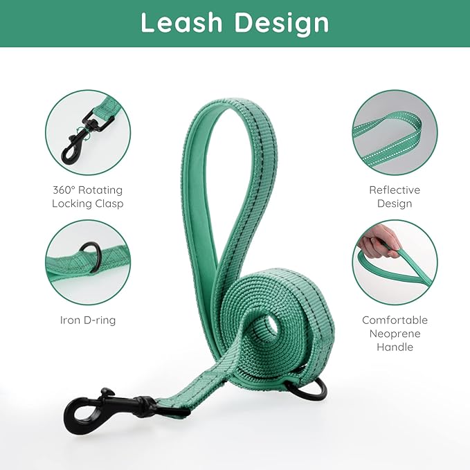BELLA & PAL Step in Vest Harness for Small and Medium Dogs, No Pull Small Dog Harness with Leash Set, Comfortable Air Mesh Dog Vest Harness with Reflective Strip (Emerald, M)