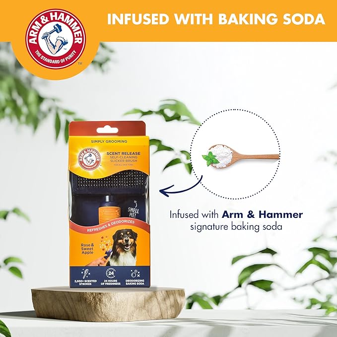 Arm & Hammer Deodorizing Slicker Brush for Dogs with Fragrance Transfer Technology – Scented Self-cleaning Dog Brush - Dog Grooming Brush for Shedding, Sweet Apple & Rose Scent