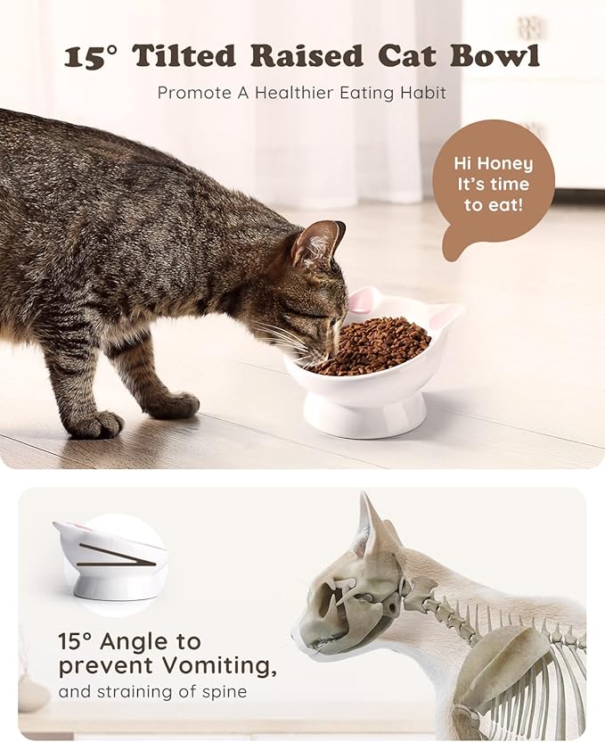 Raised Cat Food Bowl Ceramic 15° Tilted Cat Food Bowls Protect Cat's Spine Anti Vomiting Backflow Prevention Bowls for Adult Kitty, Kitten, and Small Dogs, Pink