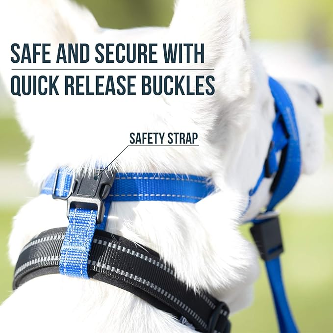 GoodBoy Dog Head Halter with Safety Strap - Stops Heavy Pulling On The Leash - Padded Headcollar for Small Medium and Large Dog Sizes - Head Collar Training Guide Included (Size 3, Blue Nylon)