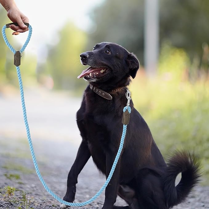 Mile High Life Dog Leash, Braided Cotton Rope Leashes with Leather Handle - Heavy Duty Metal Clasp, 6FT, 1/2" Thick - Wedding, Walking & Training Leash for Small Medium Large Dogs (Sky Blue)