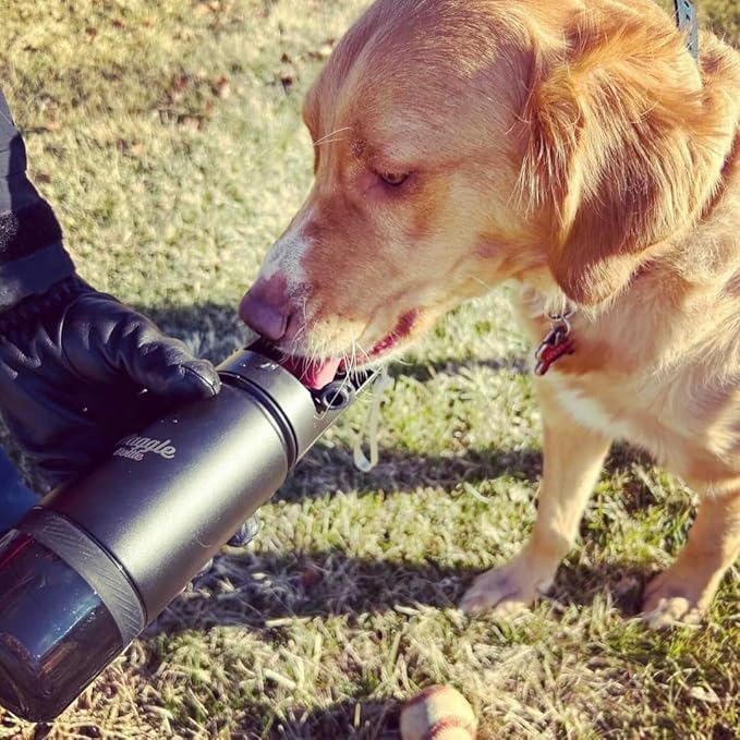 Waggle Bottle Stainless Steel Dog Travel Water Bottle, Double-Wall Vacuum Insulated Portable Dog Water Dispenser, Drink Cup and Snack Container On The Go, Outdoor Walking, Hiking, Travel, Water Bottle