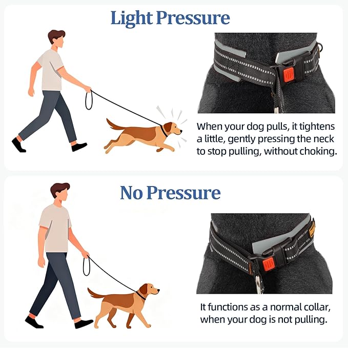 Mayerzon 1.5" Wide Martingale Collar for Large Medium Small Dogs Pitbull German Shepherd, No Pull Reflective Slip & Martingale Dog Collar with Buckle Soft Padded for Walking Training(Seattle Haze, M)