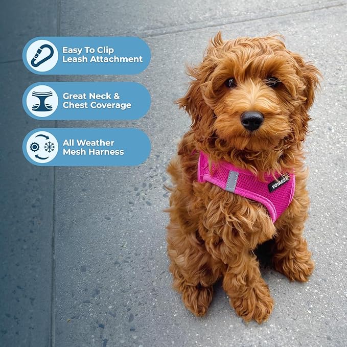Best Pet Supplies Voyager Step-in Air Harness - All Weather Mesh, Reflective, No Pull Harness for Dogs, Cats - Secure with Hook & Loop Fastener, Buckle, Double D-Rings - Fuchsia, L