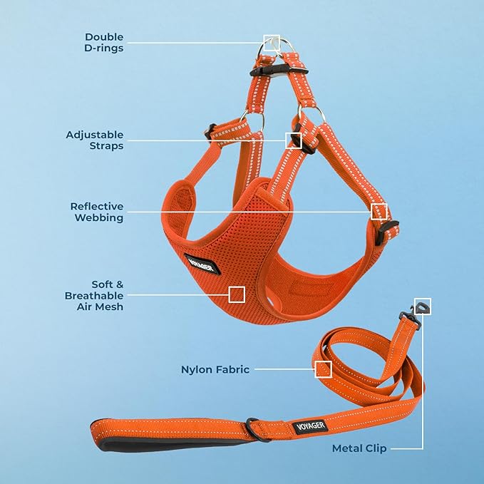 Best Pet Supplies Voyager Mesh Dog Breathable Harness Reflective Stitching, All Weather Adjustable for Walking Training, or Running - Heavy Duty & Durable, Harness Leash Set (Orange), M