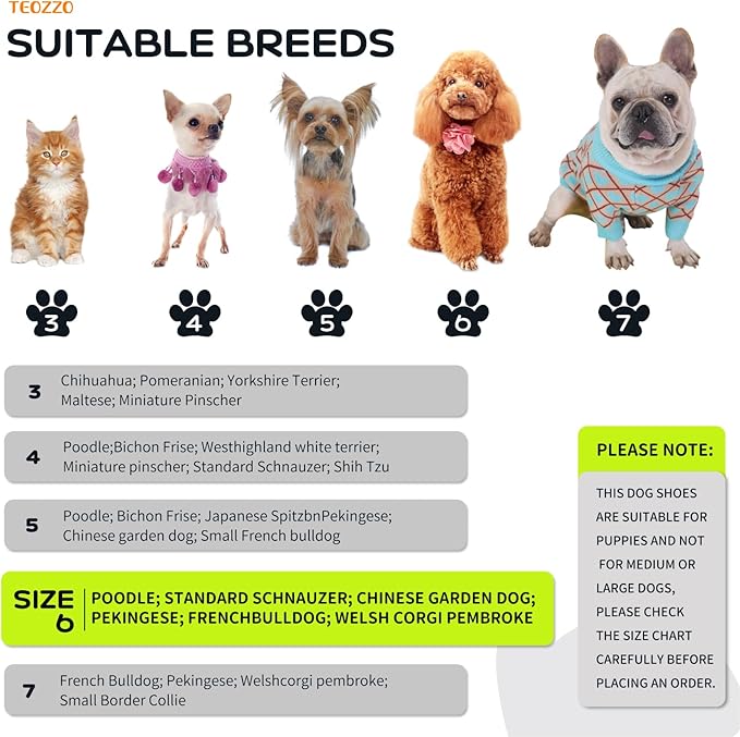 Dog Shoes Dog Boots & Paw Protector fot Hot Pavement, Anti-Slip Sole Summer Dog Booties with Reflective Straps for Small Medium Dogs 4PCS Light Green 6