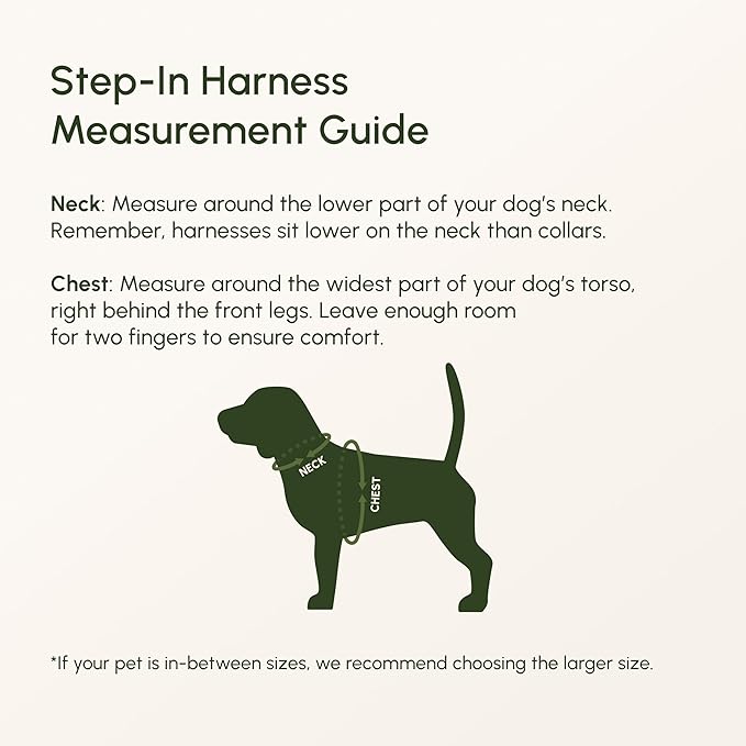 Downtown Pet Supply Step-in Dog Harness – No Pull, Adjustable Padded Mesh with Reflective Trim, Secure Buckle Strap – Comfortable & Breathable Small Dog Harness, Small, Baby Pink