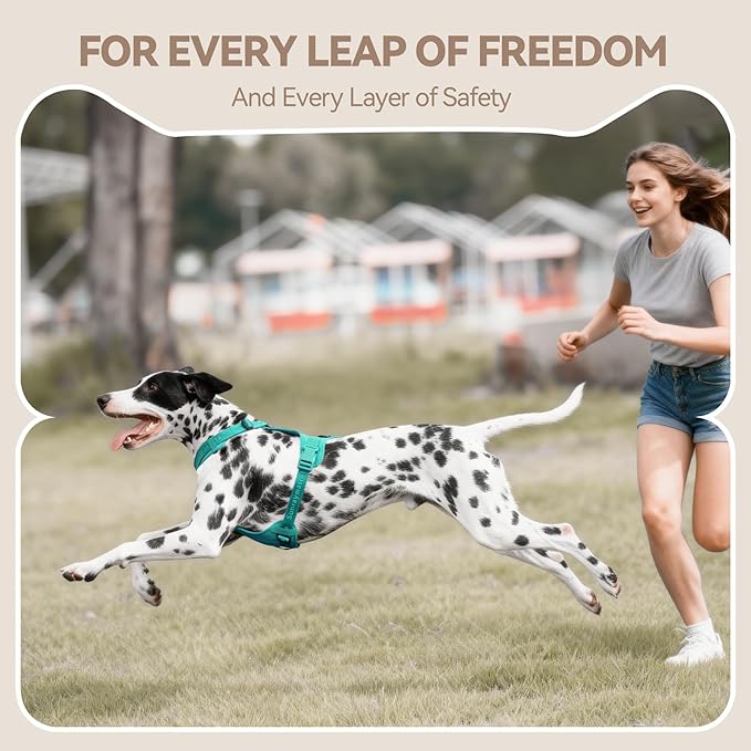 No Pull Dog Harness with Lycra, Three-Point Force Dispersion & 3D Padding, Adjustable Breathable Mesh for Small Medium Large Dogs(MARRS Green,XL)