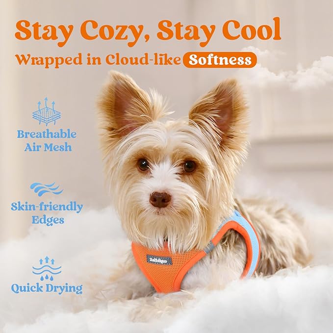 rabbitgoo Small Dog Harness, Step-in Soft Mesh Puppy Vest with Safety Buckle, Breathable Reflective Pet Harness for Large Dogs, Blue & Orange XXL