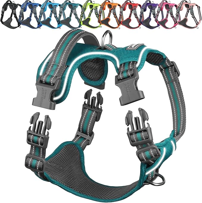 VIVAGLORY Dog Harness Easewalk No Pull Dog Harness with Handle & Front Back Clip for Training Lifting, Easy On Adjustable Padded No Pull for Pet & Puppy, XS, Hunter Teal