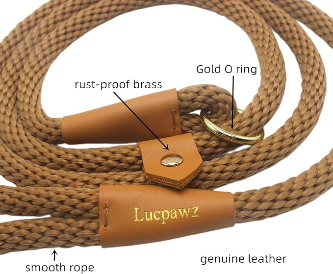 Pet Slip Leash, 6ft Slip Leads for Dogs, Dog Lead Collar Combo