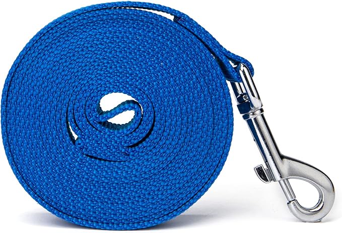 Siumouhoi Strong Durable Nylon Dog Training Leash, 1 Inch Wide Traction Rope, 6 ft 10ft 15ft Long, for Small and Medium Dog (Blue, 10 Feet)