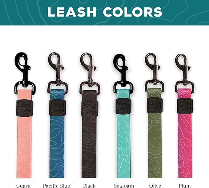 Wilderdog Waterproof Dog Leash - Repels Water & Dirt - Seafoam