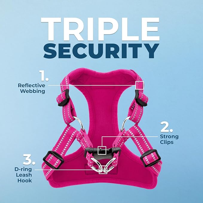 Best Pet Supplies Voyager Mesh Dog Breathable Harness Reflective Stitching, All Weather Adjustable for Walking Training, or Running - Heavy Duty & Durable, Harness (Fuchsia), M