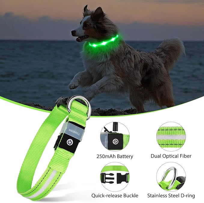 MASBRILL LED Dog Collar-Rechargeable Waterproof Glow Light Up Dog Collars- Safety Illuminated Flashing Light Collar for Dogs