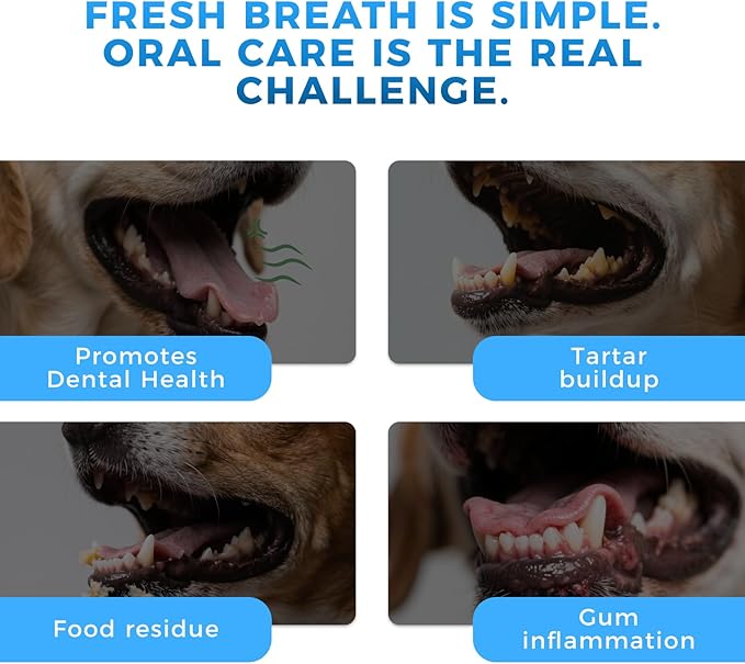 Pet Dental Fresh Water for Dogs and Cats, 10.14 fl oz, Gentle Formula