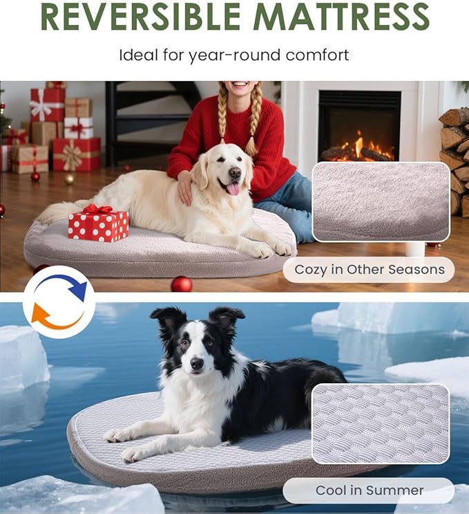 Orthopedic Dog Bed for Large Dogs, Pet Sofa Bed with Egg Crate Foam, 4-Sided Bolster, Removable Washable Cover & Anti-Slip Bottom, XX-Large Calliste Green