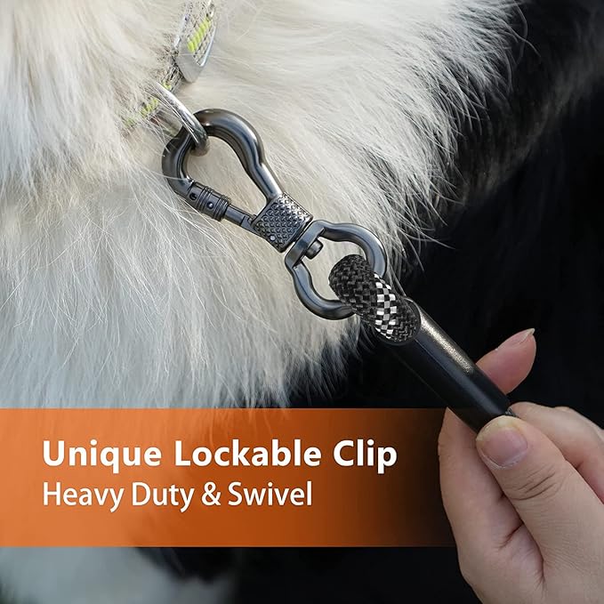 NTR Heavy Duty Dog Leash - 100FT Long Rope with 2 Swivel Hooks, Reflective Threads and Soft Handle for Walking, Hunting, Camping, Backyard - Suitable for Small, Medium and Large Dogs