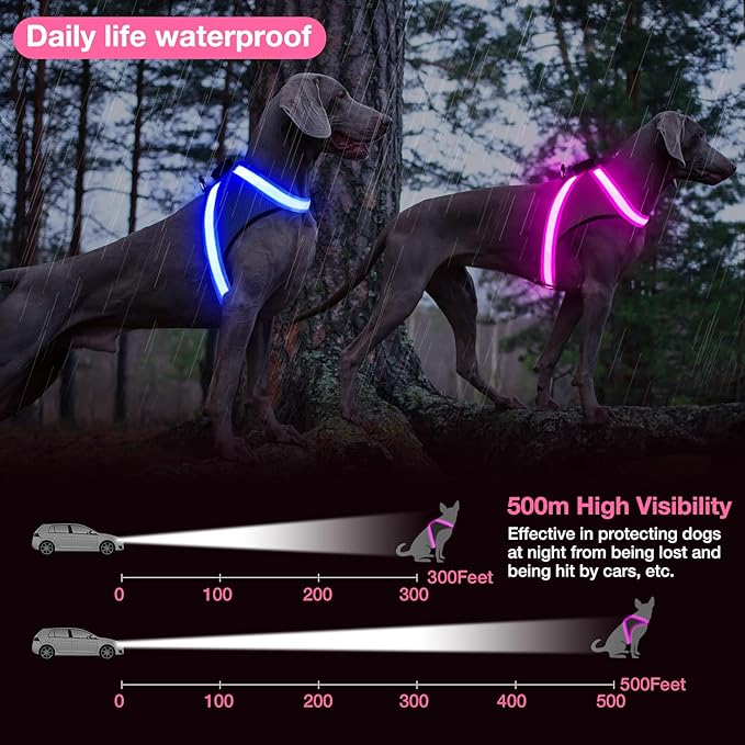 ChalkLit Light Up Dog Harness, No Pull Led Dog Harness Glow-in-The-Dark for Night Walking, USB Rechargeable Lighted Safety Vest for Medium Large Dogs, Adjustable Soft Mesh Fully Illuminated (Pink, M)